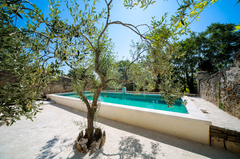 Les Yourtes de Provence : Chêne