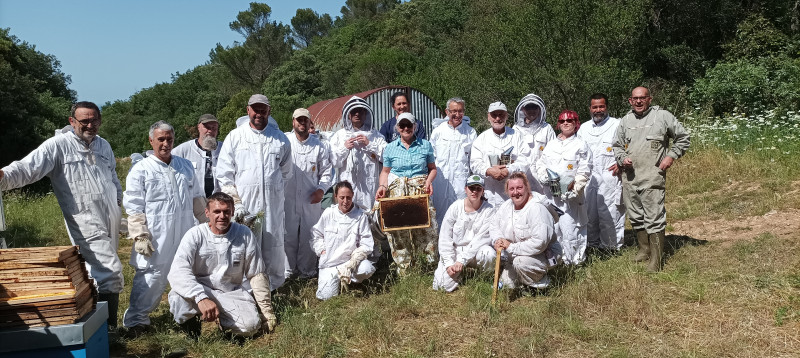 groupe Initiation Apiculture de Loisir