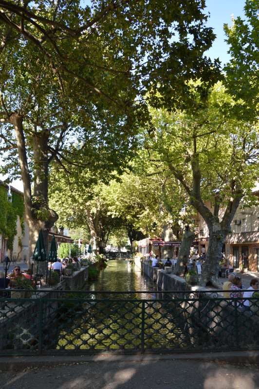 Camping La Grenouille