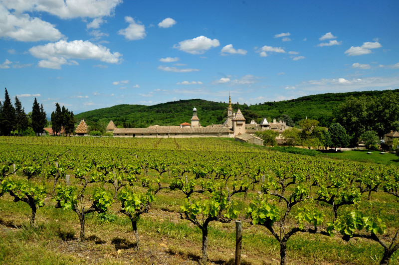 Chartreuse de Valbonne