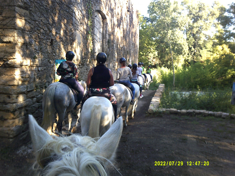 Horseback riding
