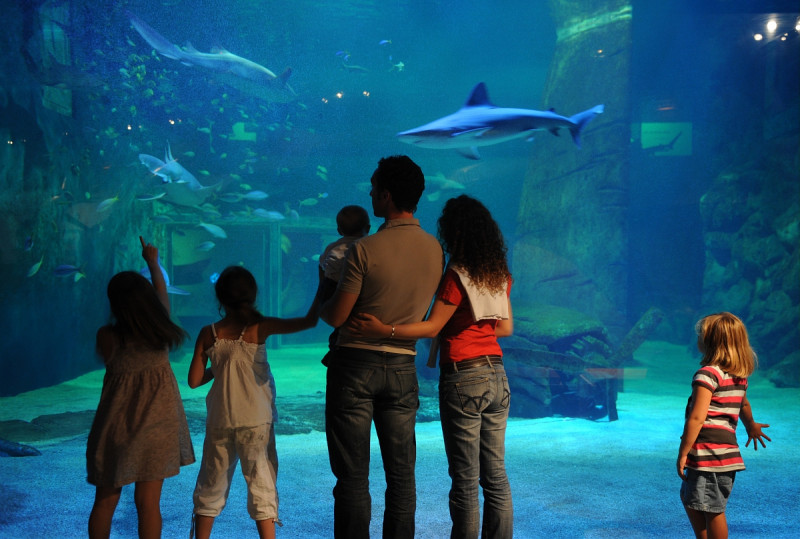 The Seaquarium