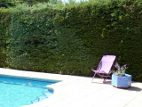 Piscine commune avec terrasse et bain de soleil