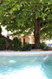 Gîte Maison du Tilleul