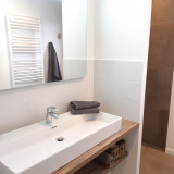 Salle d'eau avec douche et grande vasque
