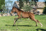 Gîte Mas de Court - Domaine de Gressac