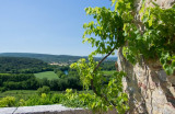 Gîte Pélisse - Domaine de Gressac