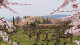 Vignes environnantes