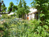 Gîte Villa Thébaïde : l'Oliveraie