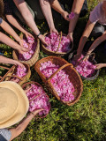 panier 
