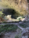 baume de ronze