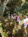 baume de ronze
