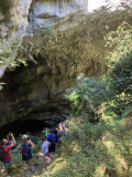 baume de ronze