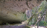 Sur les traces des bergers du Néolithique