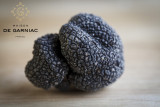 Apéro truffe au domaine Tour Paradis en partenariat avec la maison Garniac