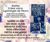 Atelier Cyanotype & cueillette chez Fleur d'Artisane_Saint-Gervais