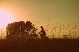 Label Accueil Vélo coucher du soleil