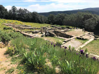 Oppidum de Gaujac