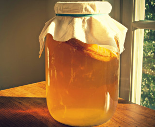 Atelier de réalisation de Kombucha