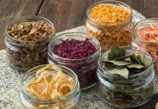 Atelier sur la déshydratation alimentaire