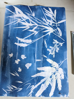 Atelier Cyanotype & cueillette chez Fleur d'Artisane_Saint-Gervais