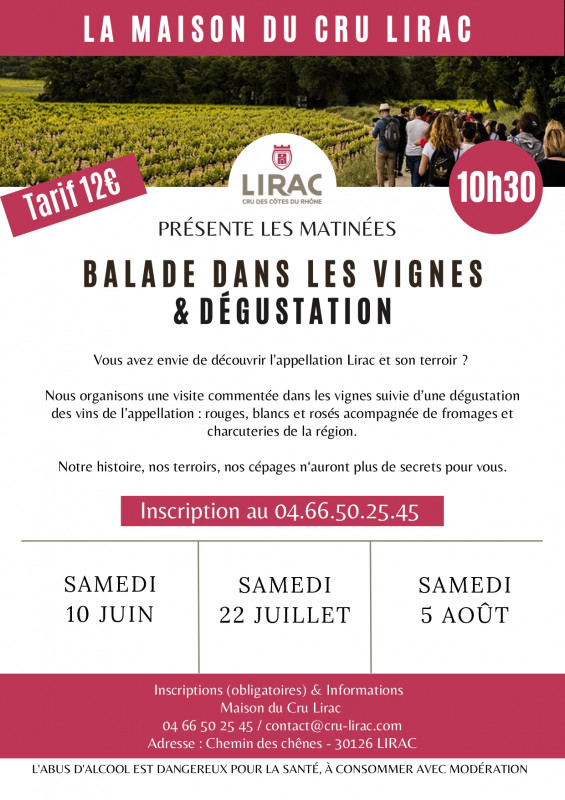 Balade dans les vignes et dégustation