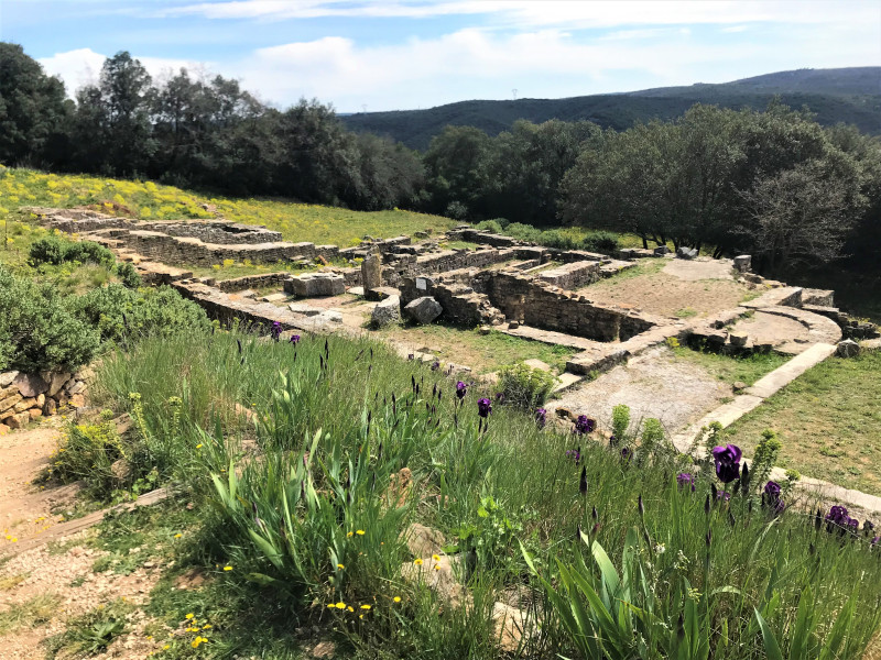 Oppidum de Gaujac