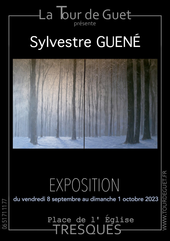 Exposition Sylvestre Guené