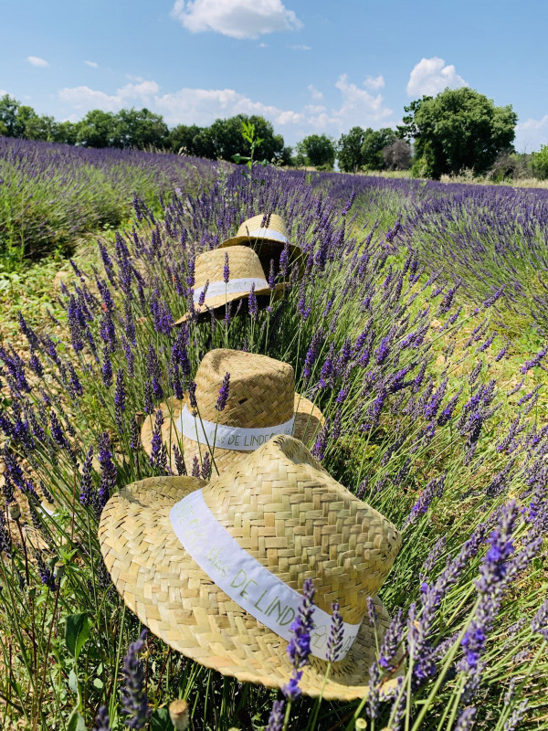 Gîtes Le Mas de Linde : Le Crouzet