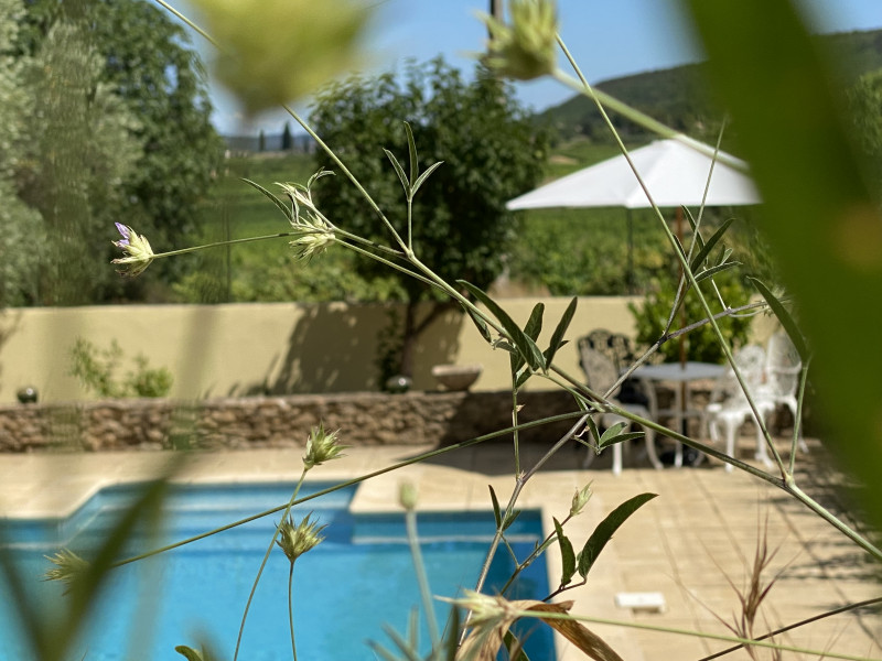 Appartements Mas Buissas : La Source