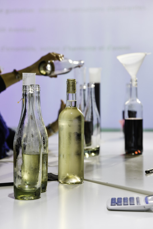 Aven d'Orgnac Les vignerons ardéchois