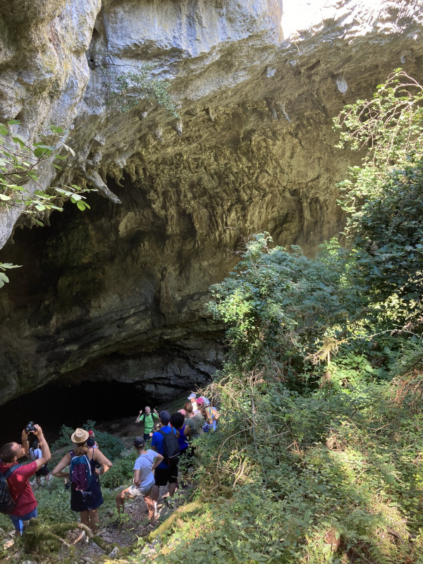 baume de ronze