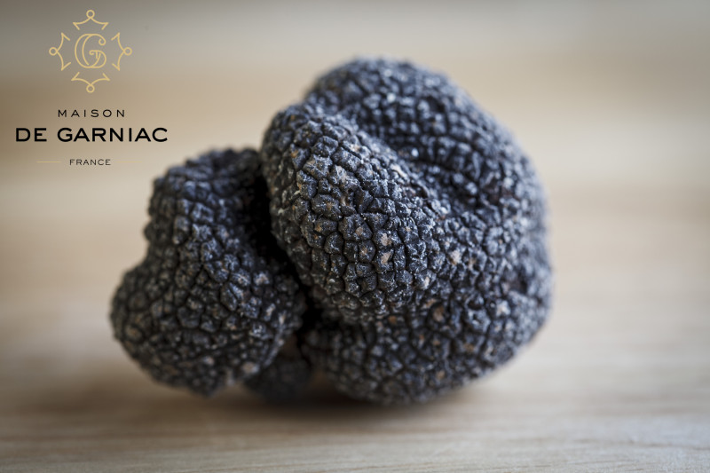 Apéro truffe au domaine Tour Paradis en partenariat avec la maison Garniac