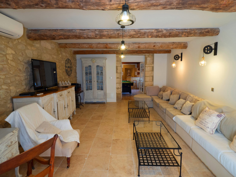 Grand salon avec canapé et télévision