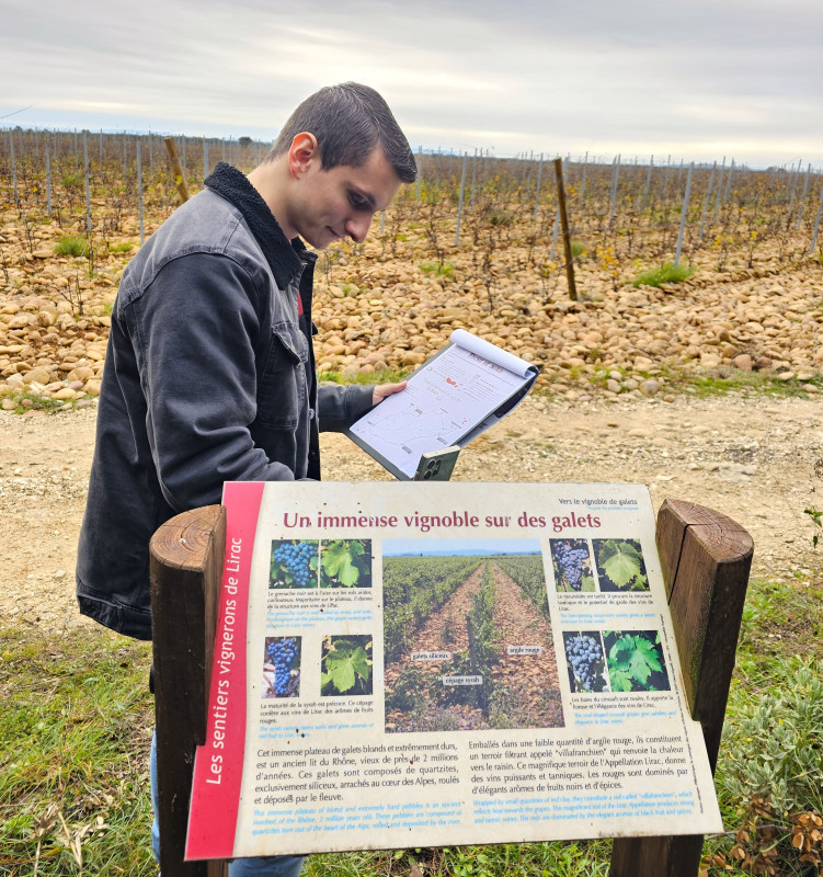 Une enquête au coeur du vignoble de Lirac