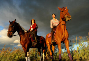Cheval en Provence Occitane