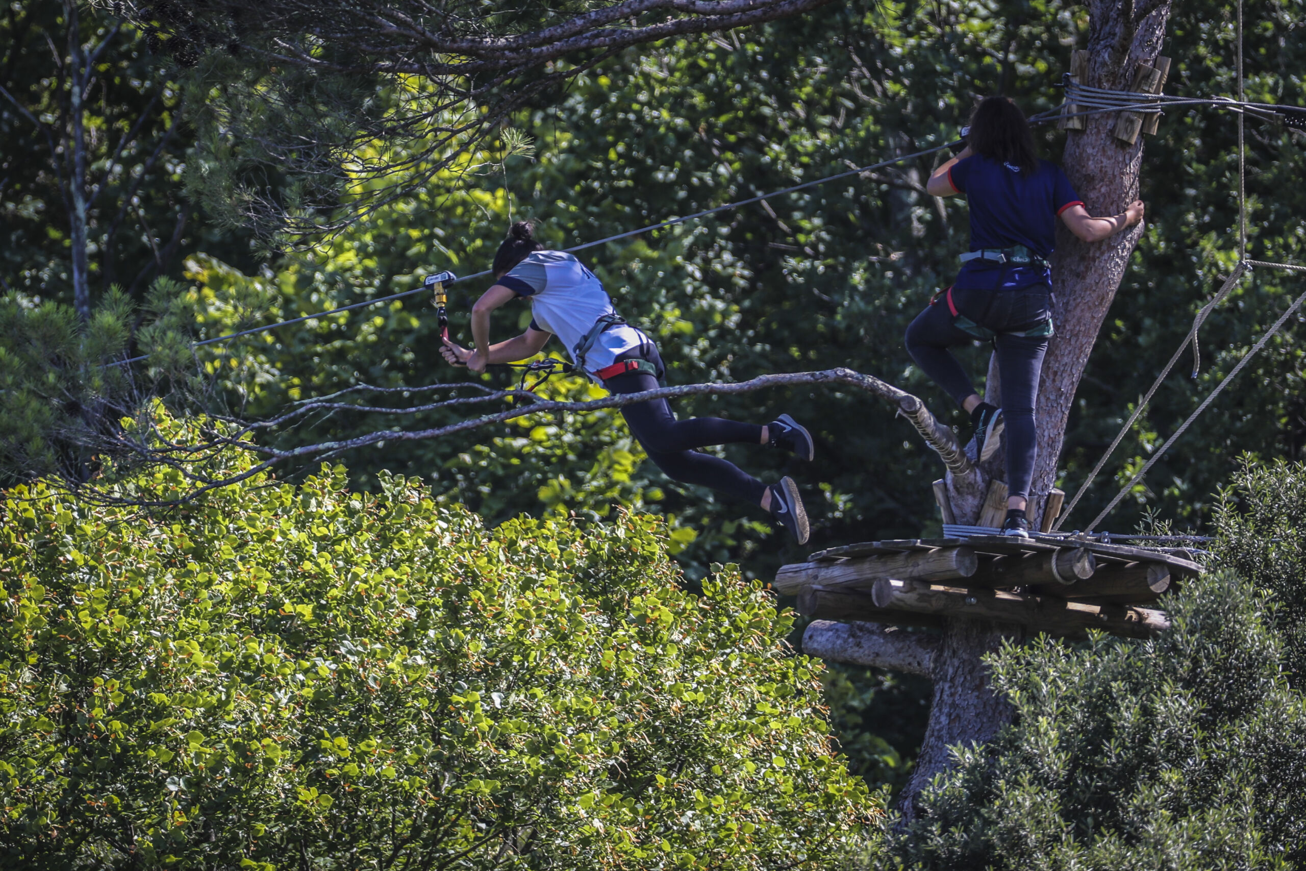 Accrobranche en Provence Occitane