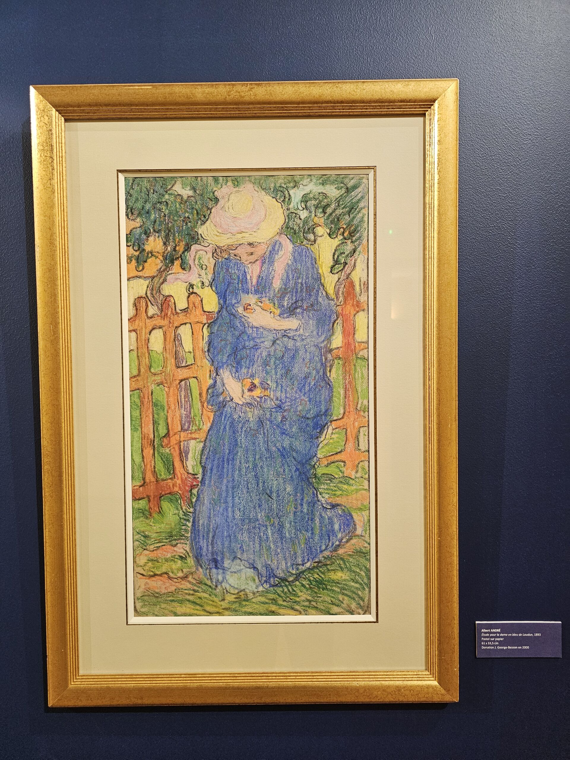 Week-end en Provence Occitane - Musée Albert André - La femme en bleu