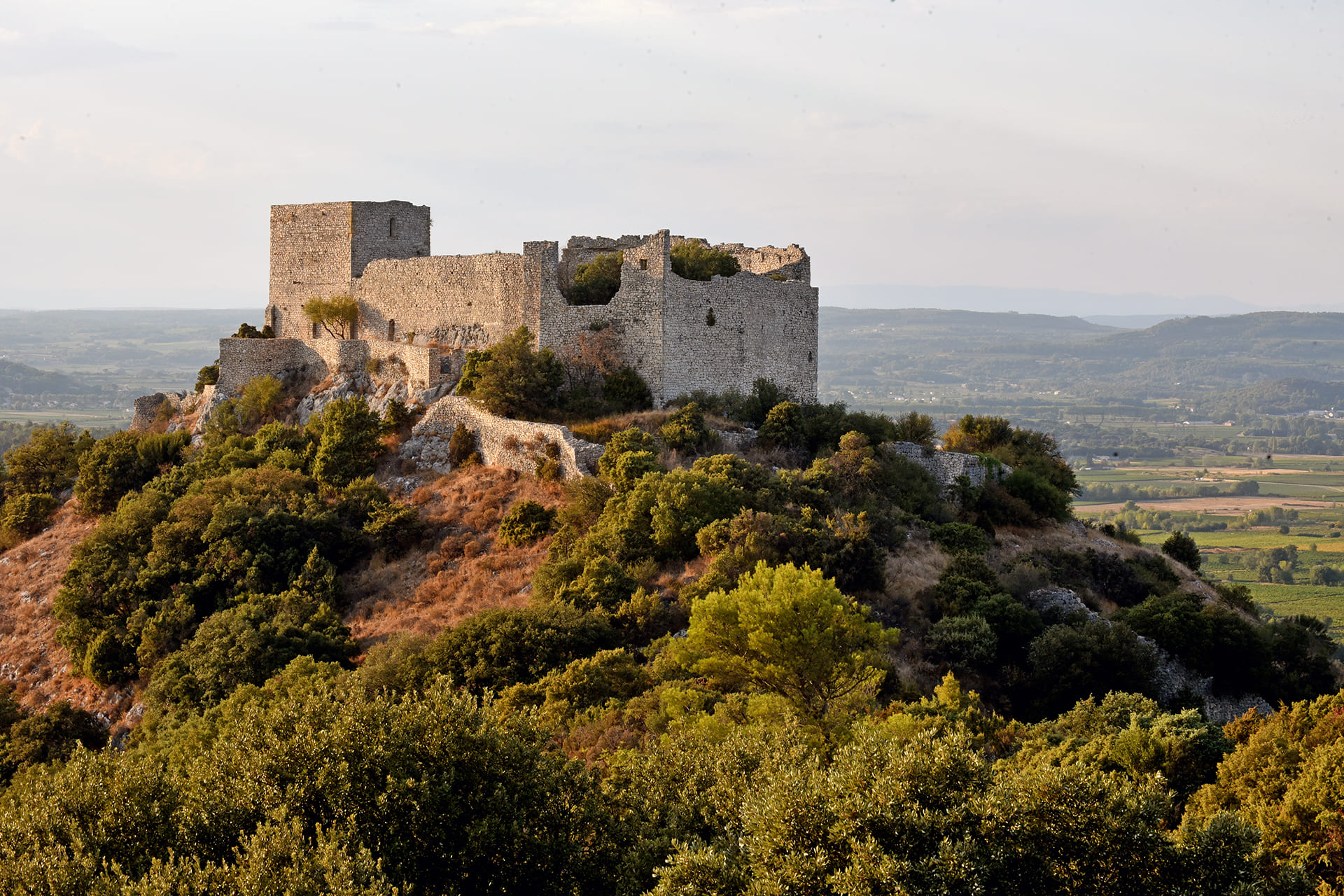 Castellas de Saint-Victor-la-Coste
