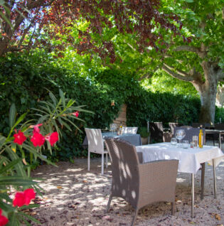 Terrasse ombragée du restaurant