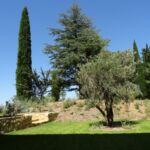 Jardin indépendant du gîte