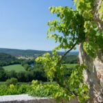 Vue de la terrasse