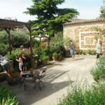 terrasse de l'herbularium