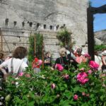 visite guidée