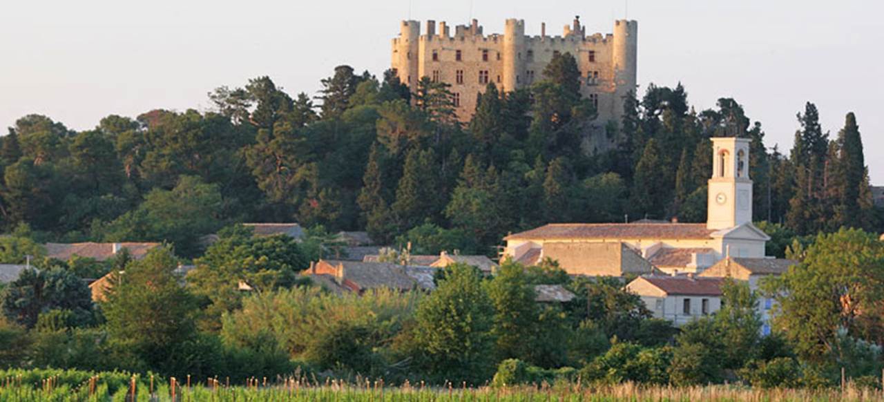 Château de Montfaucon - Château