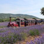 Tour en train