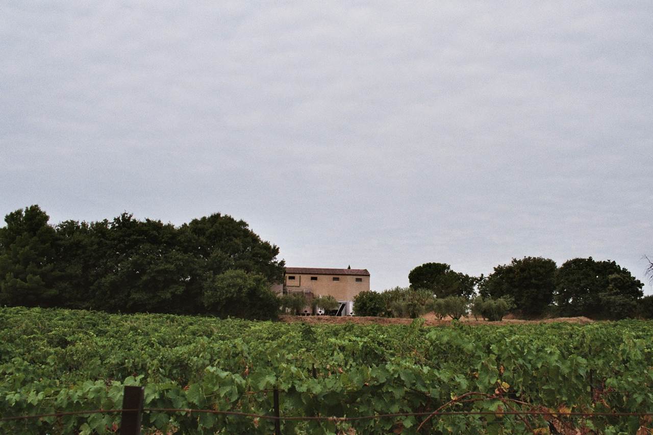 Bâtisse - Château le Devoy Martine