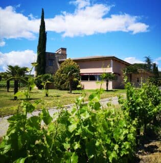 Domaine de Belle Feuille