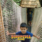 Dinopédia Parc enfants qui jouent