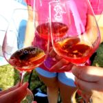 Couleur Tavel 8ème édition